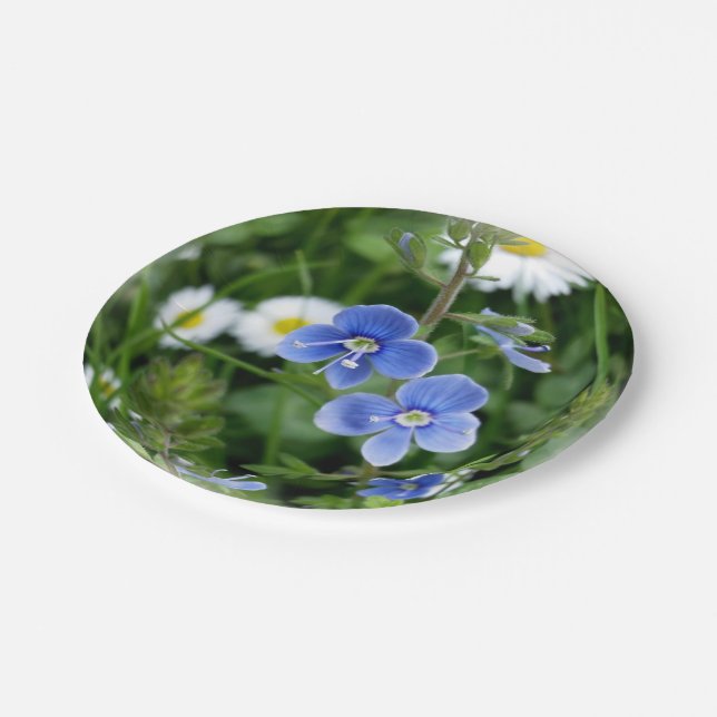 Plato De Papel flores azules diminutas (Angular)