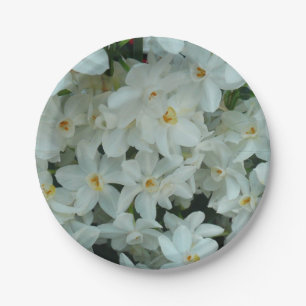 Plato De Papel Flores blancas de arcissus paperblancas
