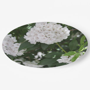 Plato De Papel Flores Blancas de Mountain Laurel