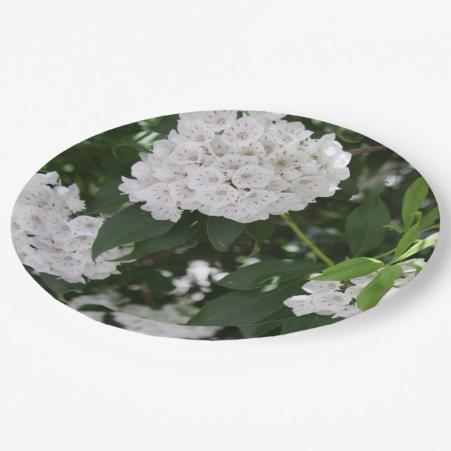 Plato De Papel Flores Blancas de Mountain Laurel (Angular)
