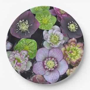 Plato De Papel Flores coloridas de hellebore   