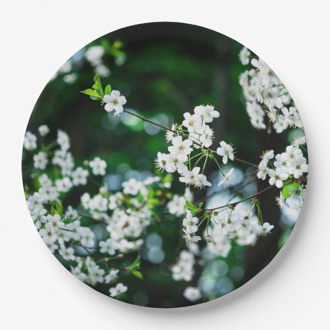 Plato De Papel Flores de cerezo blancas hojas verdes (Anverso)