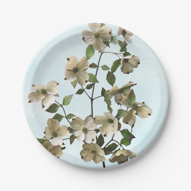 Plato De Papel Flores de dogwood blancas en llamas (Anverso)