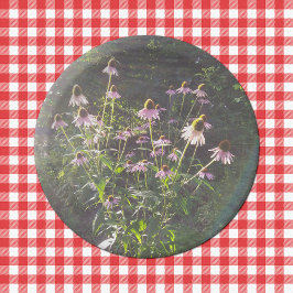 Plato De Papel Flores de Echinacea al Sol