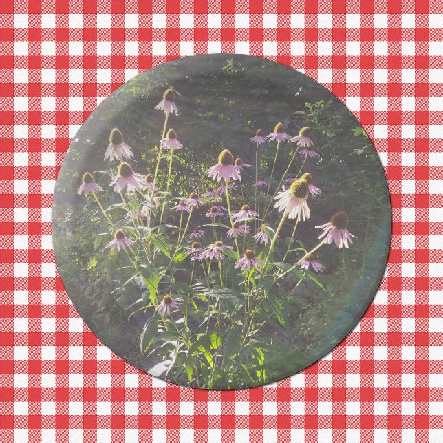 Plato De Papel Flores de equinácea al sol (Echinacea Flowers in the Sun Paper Plates on Tablecloth)