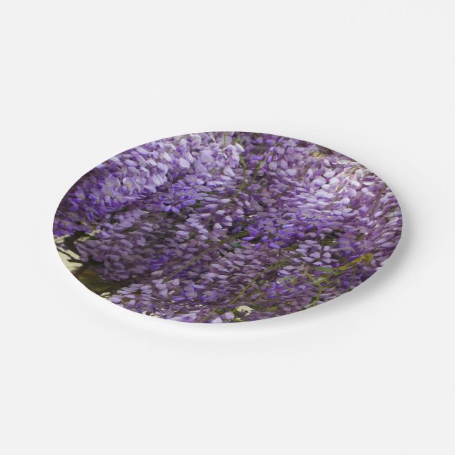 Plato De Papel Flores de glicinia morada (Angular)