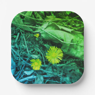 Plato De Papel Flores de pie de cola de colores de Tussilago farf