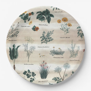 Plato De Papel Flores de plantas de hierbas