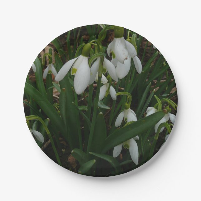Plato De Papel Flores de Primavera Blanca (Galanthus) (Anverso)