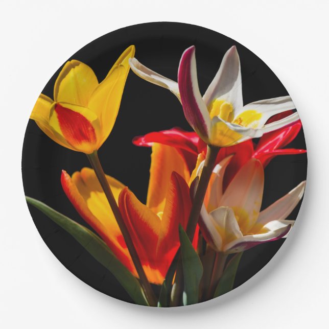 Plato De Papel Flores de tulipán contra fondo negro (Anverso)