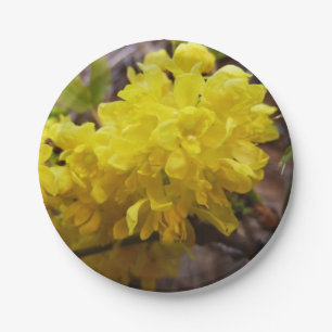 Plato De Papel Flores de uva de Oregón Flores silvestres amarilla