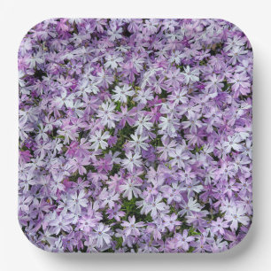 Plato De Papel Flores púrpura de aflox