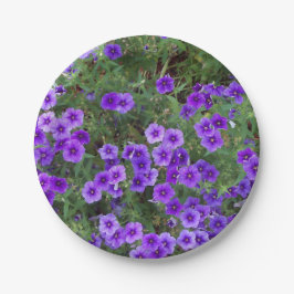 Plato De Papel Flores púrpura de Phlox en un