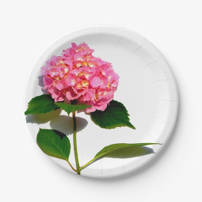 Plato De Papel Flores rosas rosadas Hydrangea (Anverso)