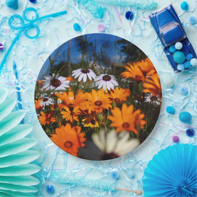 Plato De Papel Flores silvestres de Namaqualand (Fiesta)
