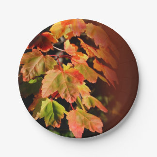 Plato De Papel Foliage de otoño en Rusia deja una foto