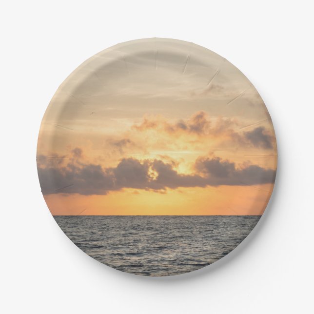 Plato De Papel Folly Beach Morning (Anverso)