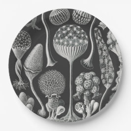 Plato De Papel Formas artísticas de la naturaleza