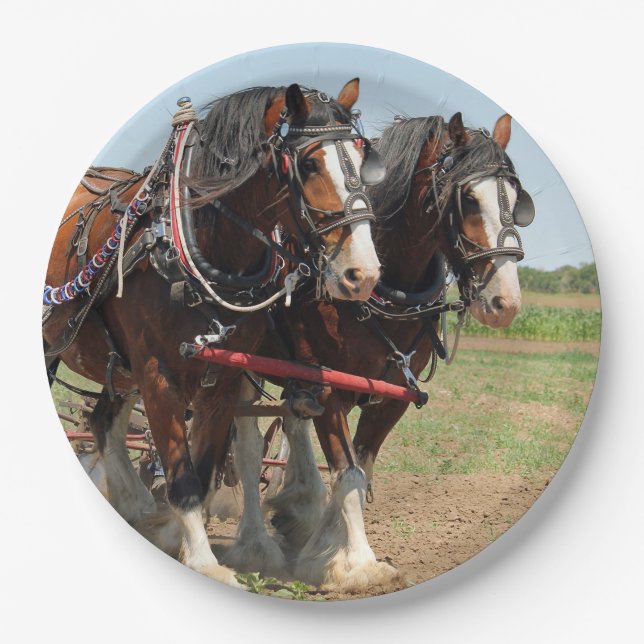 Plato De Papel Foto agrícola de Horse Clydesdale (Anverso)