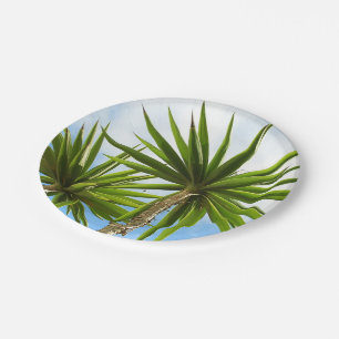 Plato De Papel Foto con efecto de pintura de hojas de palmera Yuc