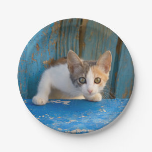 Plato De Papel Foto curiosa de ojos curiosos del gato de Cute Cal