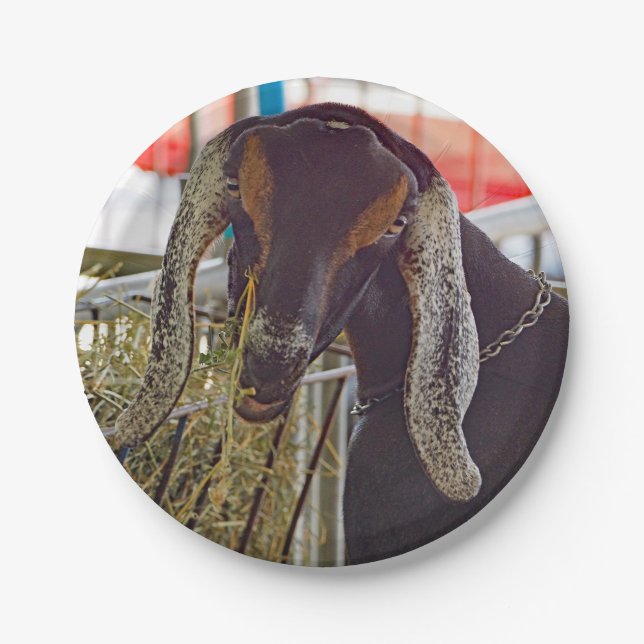 Plato De Papel Foto Cute Goat Long Ears (Anverso)