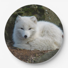 Plato De Papel Foto de Fox blanca