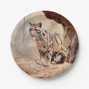 Plato De Papel foto de leopardo nebuloso naturaleza vida silvestr