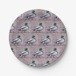Plato De Papel Foto de Mallard Duck