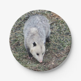 Plato De Papel Foto de Opossum