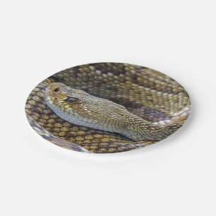 Plato De Papel Foto de Rattlesnake