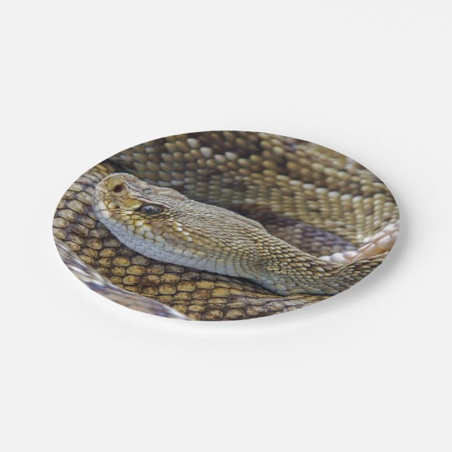 Plato De Papel Foto de serpiente de cascabel (Angular)