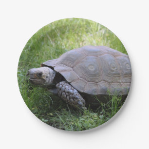 Plato De Papel Foto de tortuga de Wildlife Brown