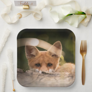 Plato De Papel Foto de un Pequeño Naranja Fox