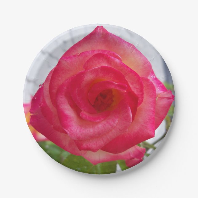 Plato De Papel Foto de un rosa en una placa de papel (Anverso)