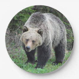 Plato De Papel Foto de vida silvestre Alaska Grizzly Bear