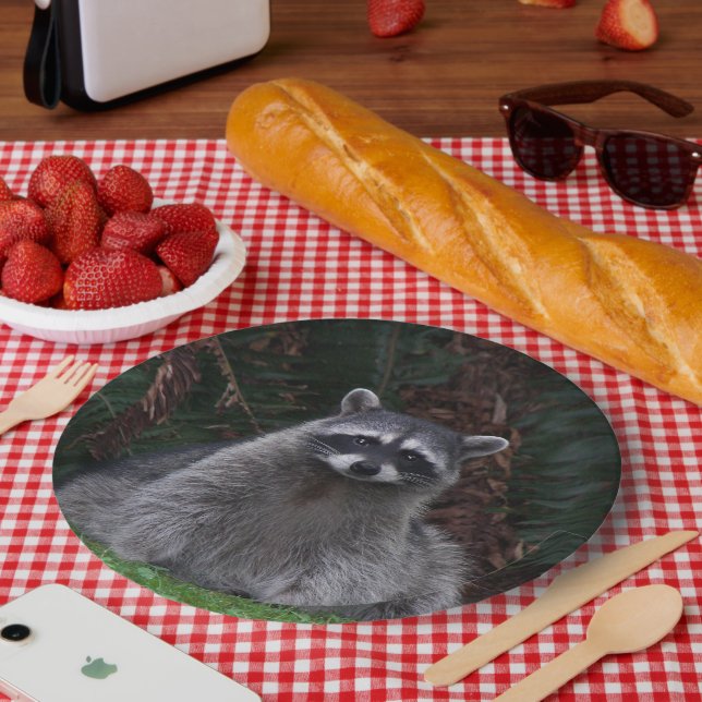 Plato De Papel Foto de vida silvestre de Cute Forest Raccoon (Picnic)