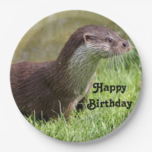 Plato De Papel Foto de vida silvestre Otter Grass Nacimiento