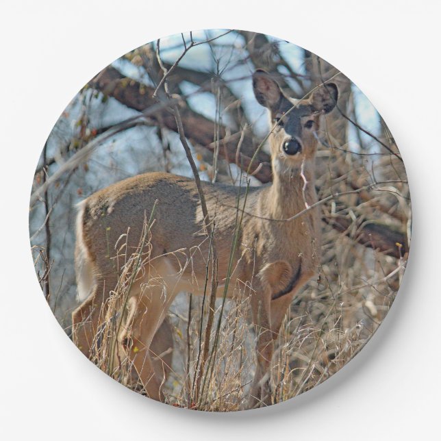 Plato De Papel Foto de Wildlife Deer Woods (Anverso)