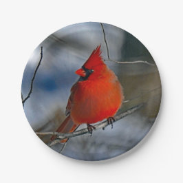 Plato De Papel Foto del Cardenal Red Winter