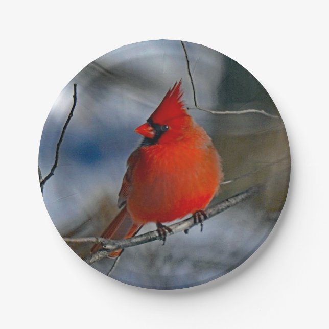 Plato De Papel Foto del Cardenal Red Winter (Anverso)