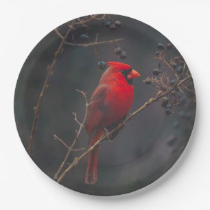 Plato De Papel Foto del Cardenal Rojo de Vida Silvestre