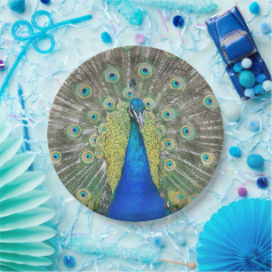 Plato De Papel Foto del plumaje de plumas de pavo real azul