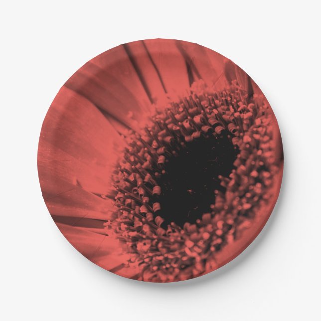 Plato De Papel Foto, macro (Anverso)