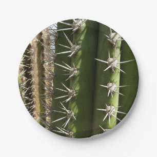 Plato De Papel Foto natural del desierto de Cactus II de Barrel