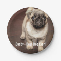 Foto personalizada del perro del barro amasado y