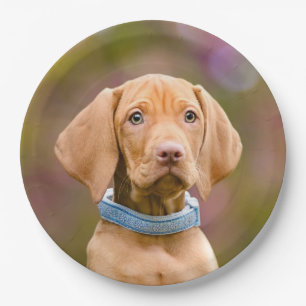 Plato De Papel Foto puppyeyed linda del perrito del perro de