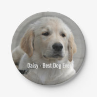 Foto y nombre del perro recuperador de oro persona