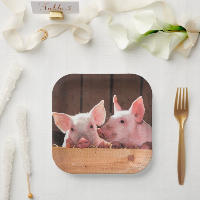 Plato De Papel Fotografía animal de lechones rosados (Boda)