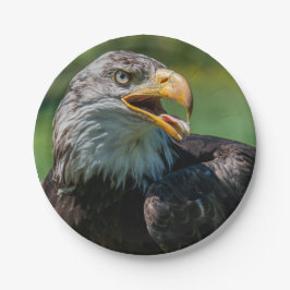 Plato De Papel fotografía de águila